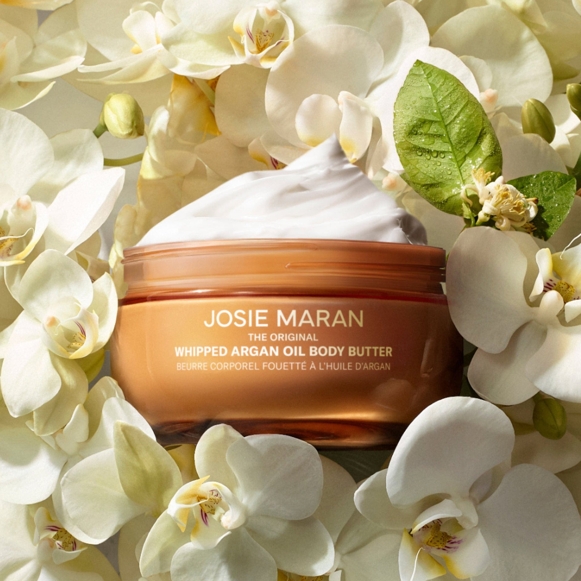 Whipped Argan Oil Body Butter